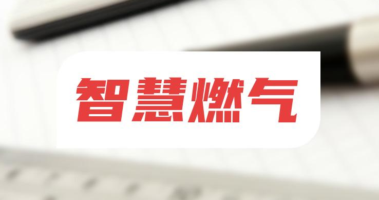 走進(jìn)智慧燃?xì)鈺r(shí)代：更安全、更便捷的用氣新體驗(yàn)